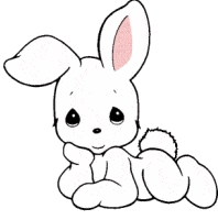 lapin